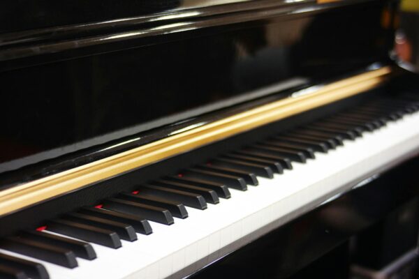 Piano de cuisson Schneider SCG71 : avis complet sur ce modèle mixte 100 cm
